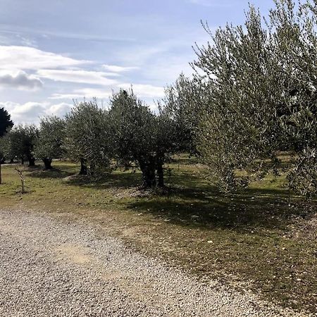 Appartement Au Milieu Des Oliviers Rasteau Luaran gambar