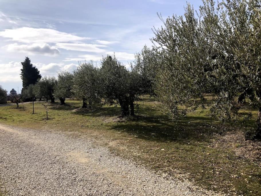 Appartement Au Milieu Des Oliviers Rasteau Luaran gambar